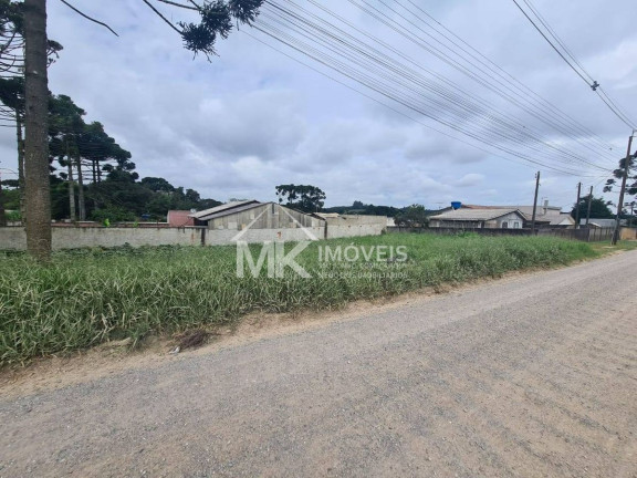 Imagem Terreno à Venda, em Planta Laranjeiras - Piraquara Imagem Terreno à Venda, em Planta Laranjeiras - Piraquara