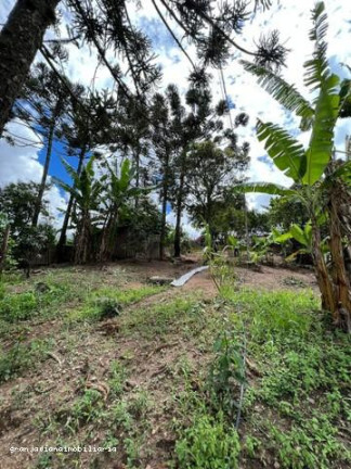 Imagem Chácara à Venda,  em São João Novo - São Roque
