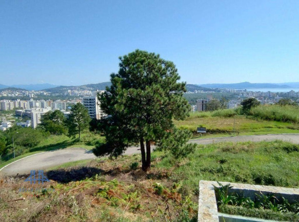 Imagem Terreno à Venda, 525 m² em Itacorubi - Florianópolis