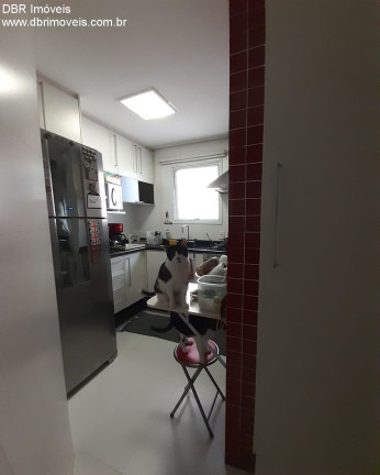 Imagem Apartamento com 3 Quartos à Venda, 64 m² em Vila Prudente - São Paulo Imagem Apartamento com 3 Quartos à Venda, 64 m² em Vila Prudente - São Paulo