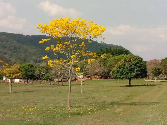 Imagem Fazenda à Venda, 5 m² em área Rural - Avaré Imagem Fazenda à Venda, 5 m² em área Rural - Avaré