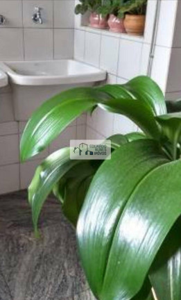 Imagem Apartamento com 4 Quartos à Venda, 168 m² em Barro Preto - Belo Horizonte