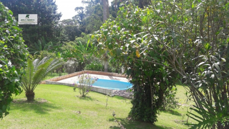 Imagem Chácara com 3 Quartos à Venda, 18.000 m² em Mailasqui - São Roque Imagem Chácara com 3 Quartos à Venda, 18.000 m² em Mailasqui - São Roque