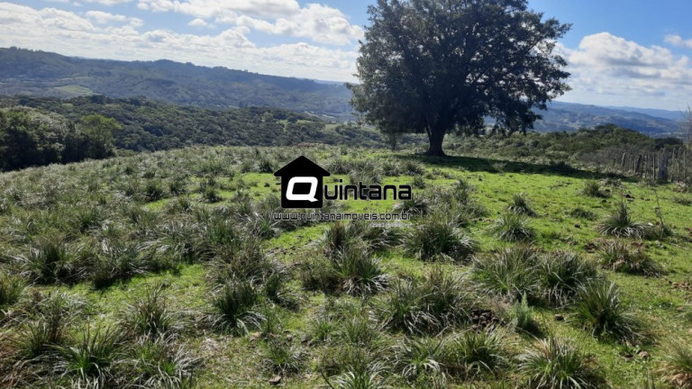 Imagem Imóvel com 2 Quartos à Venda, 8.000.000 m² em Centro - Santana Da Boa Vista