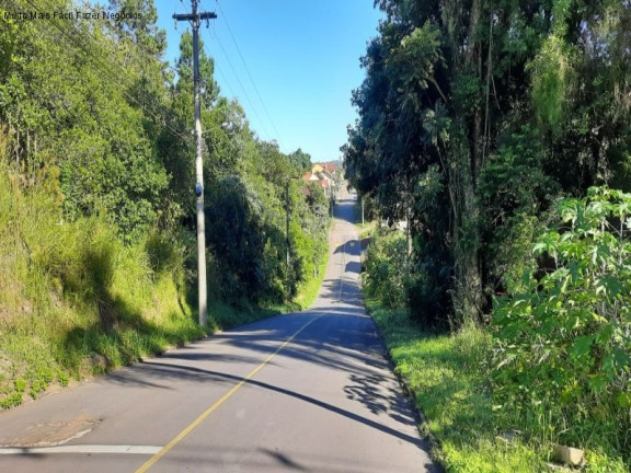 Terreno à Venda, 720 m² em Bela Vista - Nova Petrópolis