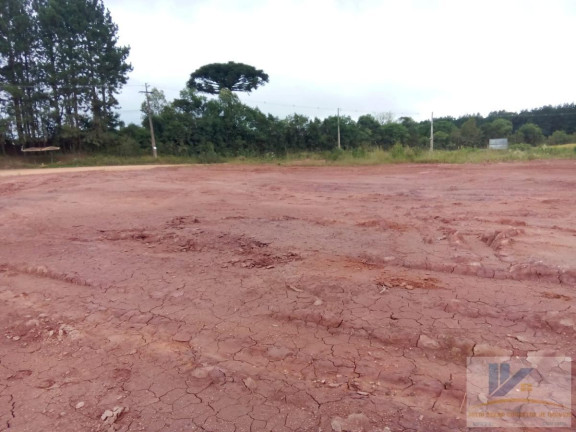 Imagem Terreno à Venda, 4.411 m² em Campo Largo Da Roseira - São José Dos Pinhais Imagem Terreno à Venda, 4.411 m² em Campo Largo Da Roseira - São José Dos Pinhais
