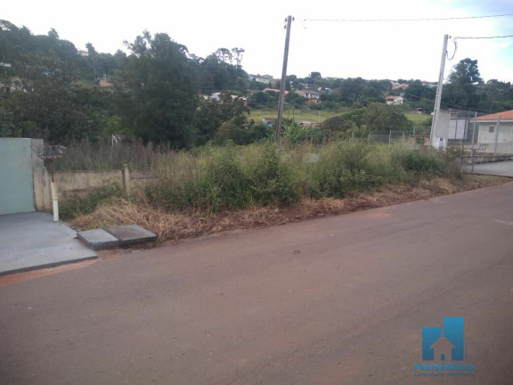 Imagem Terreno à Venda, 495 m² em Estrela - Ponta Grossa Imagem Terreno à Venda, 495 m² em Estrela - Ponta Grossa