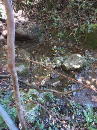 Imagem Imóvel à Venda, 45.900 m² em Bairro Da Estaca - Itamonte