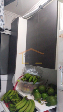 Imagem Apartamento com 3 Quartos à Venda, 78 m² em Vila Maria - São Paulo