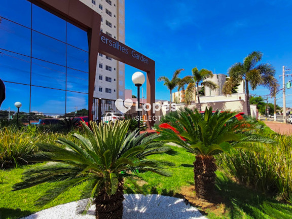 Imagem Apartamento com 2 Quartos à Venda, 43 m² em Fundação Da Casa Popular - Campinas Imagem Apartamento com 2 Quartos à Venda, 43 m² em Fundação Da Casa Popular - Campinas
