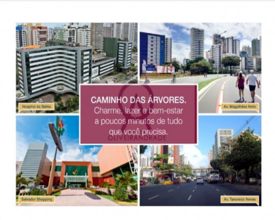 Imagem Imóvel com 3 Quartos à Venda,  em Caminho Das árvores - Salvador