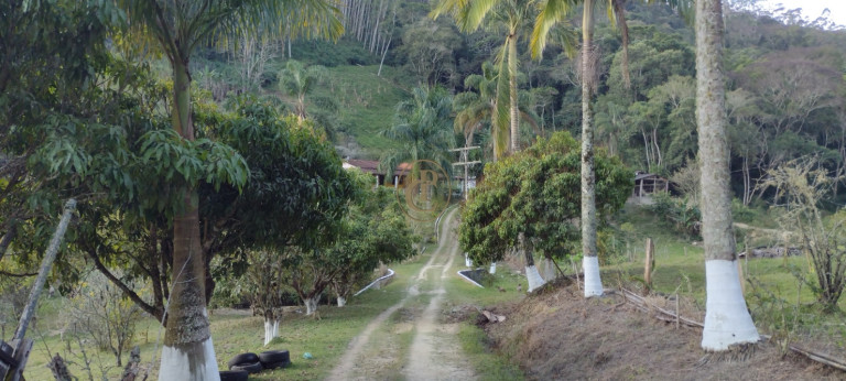 Imagem Chácara com 3 Quartos à Venda, em Morro Grande - São Luíz Do Paraitinga Imagem Chácara com 3 Quartos à Venda, em Morro Grande - São Luíz Do Paraitinga