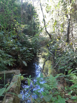 Imagem Imóvel à Venda, em área Rural De São Francisco Xavier - São José Dos Campos Imagem Imóvel à Venda, em área Rural De São Francisco Xavier - São José Dos Campos