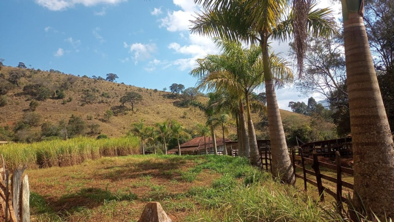 Imagem Chácara com 3 Quartos à Venda, 100 m² em Mato Dentro - Virgínia Imagem Chácara com 3 Quartos à Venda, 100 m² em Mato Dentro - Virgínia