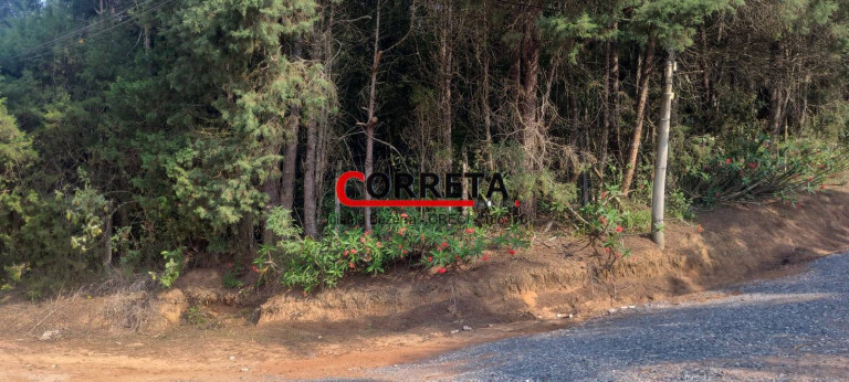 Imagem Terreno em Condomínio à Venda, 2.180 m² em Cocais - Ibiúna