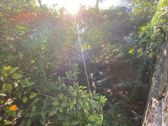 Imagem Terreno à Venda, em Tristeza - Porto Alegre Imagem Terreno à Venda, em Tristeza - Porto Alegre