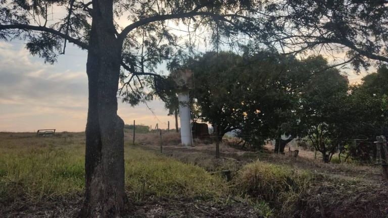 Imagem Fazenda à Venda, 1 m² em Morro Alto - Itapetininga Imagem Fazenda à Venda, 1 m² em Morro Alto - Itapetininga
