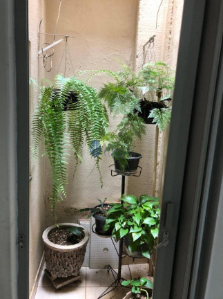 Imagem Casa com 4 Quartos à Venda, 115 m² em Jundiaí - Anápolis