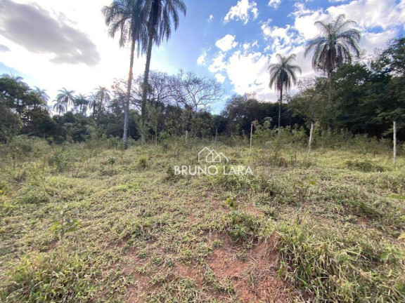Imagem Terreno à Venda, 120.000 m² em Novo Horizonte - Igarapé Imagem Terreno à Venda, 120.000 m² em Novo Horizonte - Igarapé