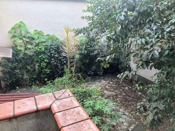 Imagem Loja para Alugar, 450 m² em Vila Uberabinha - São Paulo Imagem Loja para Alugar, 450 m² em Vila Uberabinha - São Paulo