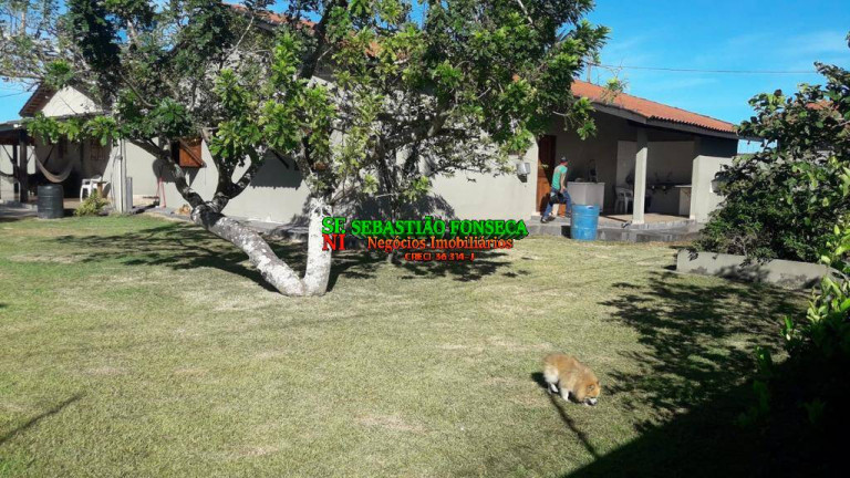 Imagem Fazenda à Venda, 1.200 m² em área Rural De Xinguara - Xinguara