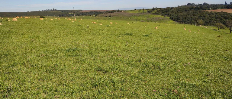 Imagem Fazenda à Venda, 1.016 m² em Bairro Dos Leites - Piedade Imagem Fazenda à Venda, 1.016 m² em Bairro Dos Leites - Piedade