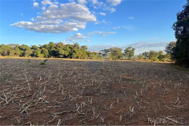 Imagem Fazenda à Venda, 710.000 m² em Perdizes - Perdizes Imagem Fazenda à Venda, 710.000 m² em Perdizes - Perdizes