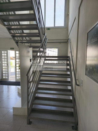 Imagem Imóvel para Alugar, 1.700 m² em Macuco - Valinhos Imagem Imóvel para Alugar, 1.700 m² em Macuco - Valinhos