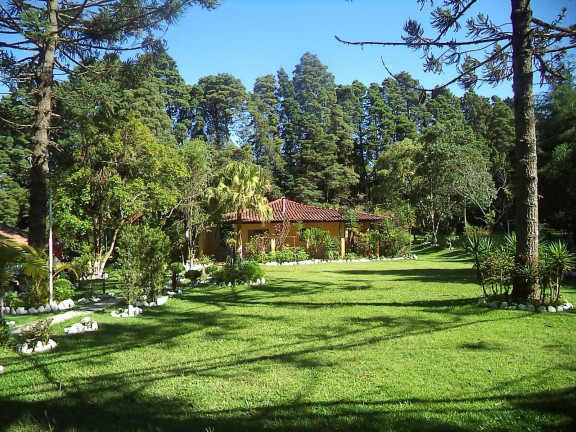 Imagem Chácara com 7 Quartos à Venda, 25.000 m² em Roseira - Piedade