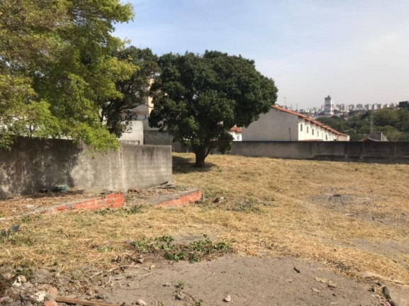Imagem Terreno para Alugar, 2.166 m² em Paulicéia - São Bernardo Do Campo Imagem Terreno para Alugar, 2.166 m² em Paulicéia - São Bernardo Do Campo