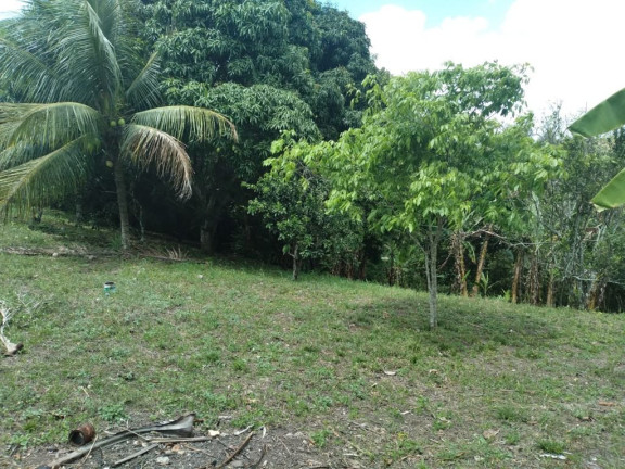Imagem Terreno à Venda, 2.800 m² em Rural - Paudalho Imagem Terreno à Venda, 2.800 m² em Rural - Paudalho