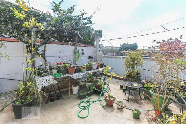 Imagem Casa com 4 Quartos à Venda, 320 m² em Rio Pequeno - São Paulo Imagem Casa com 4 Quartos à Venda, 320 m² em Rio Pequeno - São Paulo