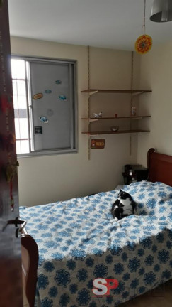 Imagem Apartamento com 2 Quartos à Venda, 50 m² em Jardim Bonfiglioli - São Paulo