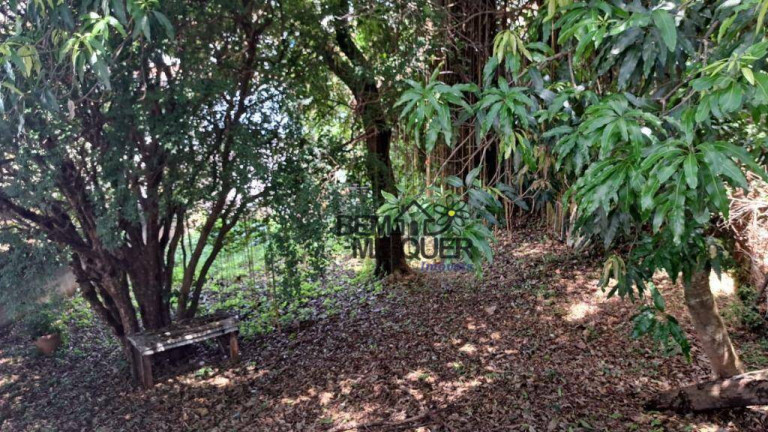 Imagem Terreno à Venda, 1.470 m² em Vila Mangalot - São Paulo Imagem Terreno à Venda, 1.470 m² em Vila Mangalot - São Paulo