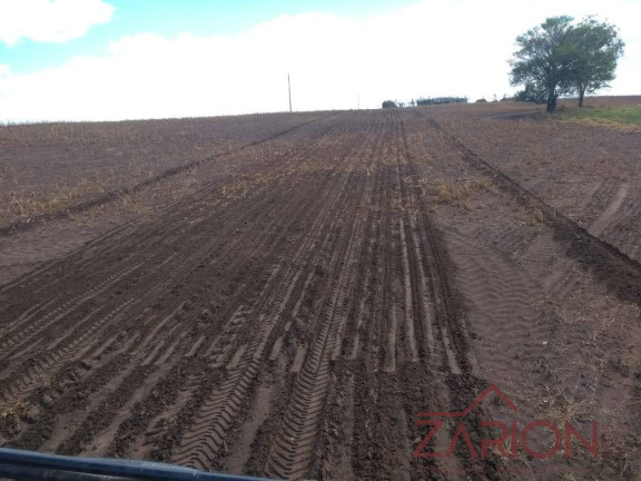 Imagem Fazenda à Venda, 13.000 m² em Jardim Paraíso - Naviraí