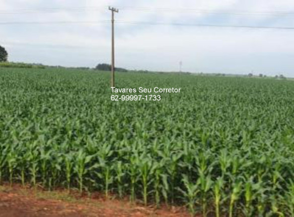 Imagem Imóvel à Venda, 7.000 m² em Araguaia - Santana Do Araguaia Imagem Imóvel à Venda, 7.000 m² em Araguaia - Santana Do Araguaia