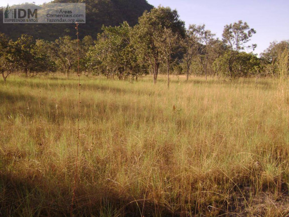 Imagem Chácara à Venda, 45.000.000 m² em Setor Central - Taipas Do Tocantins