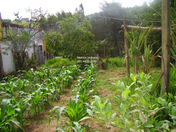 Imagem Imóvel com 3 Quartos à Venda, 2.000 m² em Champirra - Jundiaí