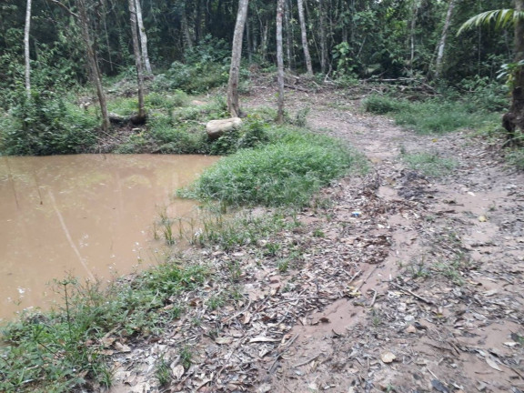 Imagem Fazenda à Venda, 300 m² em Gaspar Imagem Fazenda à Venda, 300 m² em Gaspar