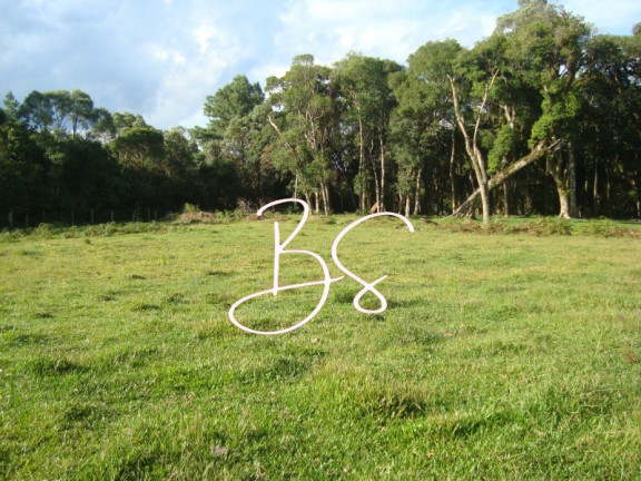 Imagem Terreno à Venda, 50.000 m² em Linha Bonita - Gramado Imagem Terreno à Venda, 50.000 m² em Linha Bonita - Gramado