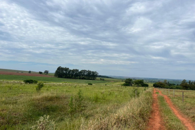 Chácara à Venda, 121 m² em Pr 580 - Cidade Gaúcha