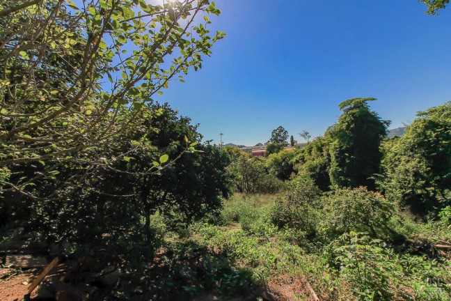 Imagem Terreno à Venda, 2.420 m² em Vila Nova - Porto Alegre Imagem Terreno à Venda, 2.420 m² em Vila Nova - Porto Alegre