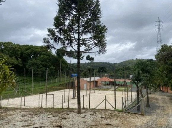 Imagem Imóvel Comercial à Venda, 3.800 m² em Pacotuba - Almirante Tamandare