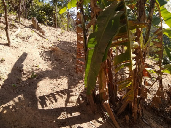 Imagem Terreno à Venda, 500 m² em Bandeirinhas - Betim Imagem Terreno à Venda, 500 m² em Bandeirinhas - Betim