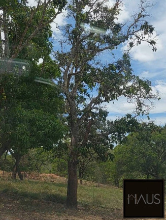 Imagem Fazenda à Venda, 600 m² em Centro - Curvelo