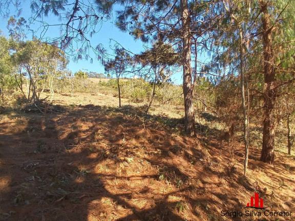 Imagem Terreno à Venda, 1.050 m² em Vale Encantado - Campos Do Jordão Imagem Terreno à Venda, 1.050 m² em Vale Encantado - Campos Do Jordão