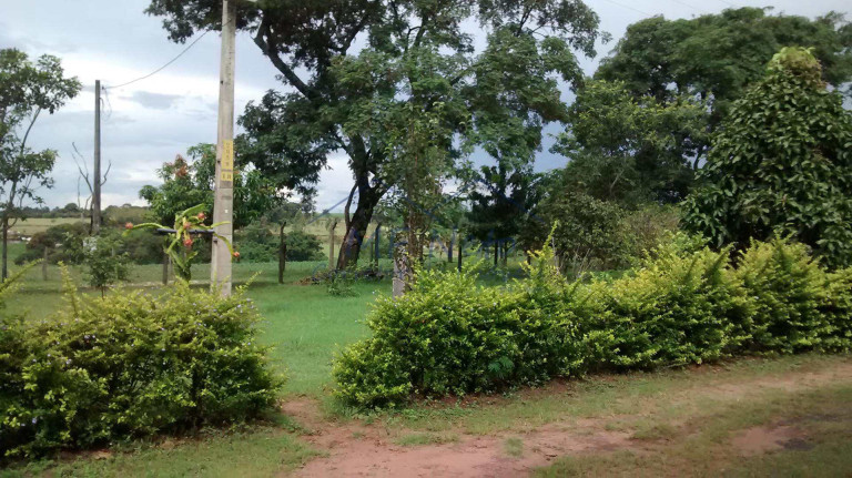 Imagem Fazenda à Venda, 8.400 m² em Zona Rural - Tambaú Imagem Fazenda à Venda, 8.400 m² em Zona Rural - Tambaú