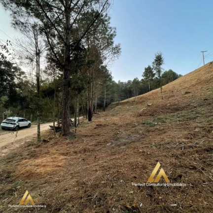 Imagem Terreno à Venda, 1.040 m² em Vale Encantado - Campos Do Jordão Imagem Terreno à Venda, 1.040 m² em Vale Encantado - Campos Do Jordão