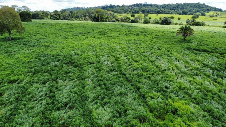Imagem Fazenda à Venda, em Juara Imagem Fazenda à Venda, em Juara
