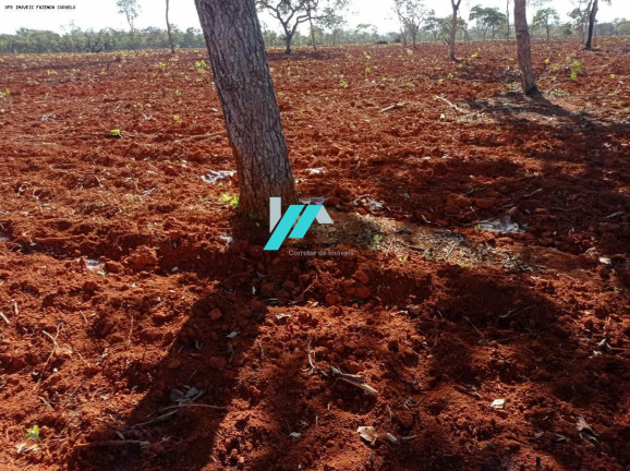 Imagem Fazenda à Venda, 25 m² em Zona Rural - Curvelo Imagem Fazenda à Venda, 25 m² em Zona Rural - Curvelo